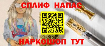 сатива Малгобек